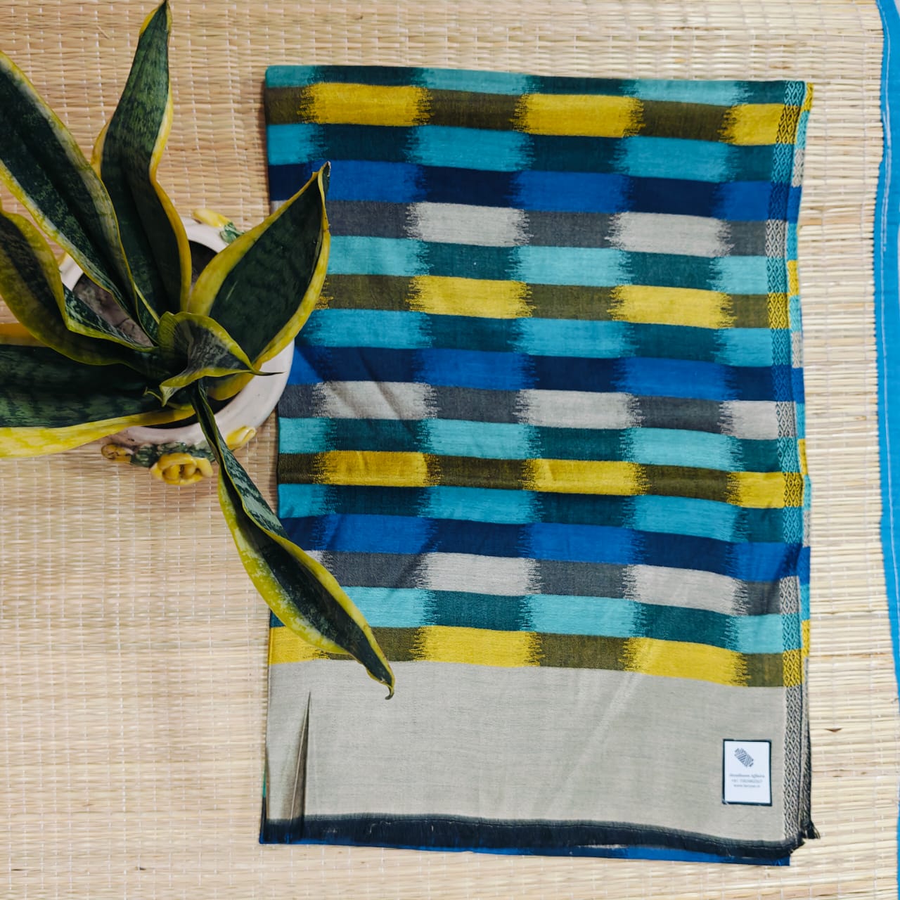 WhatsApp Image 2025-11-07 at 10.48.20 (3)