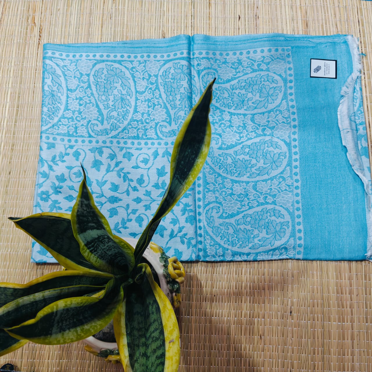 WhatsApp Image 2025-11-07 at 10.48.20